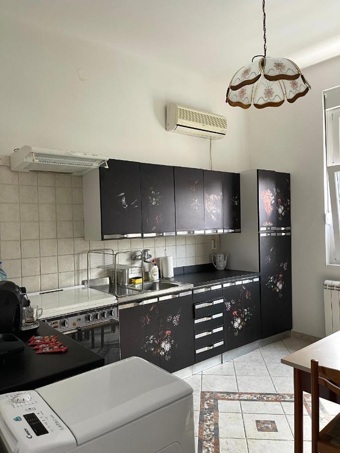 Apartman Alba Apartment Beograd Bagian luar foto